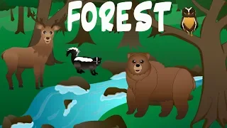 Forest Animals Video for Children – Forest Animal Spelling Songs for Kids –Preschoolers Kindergarten