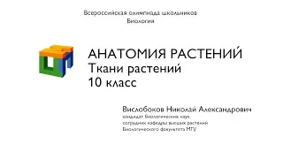 Биология.  Вислобоков Н.  А.  Анатомия растений.  Ткани растений.   10 класс