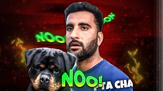 Wahab bhai ko pta chal gya rottweiler dog ka 😢 | shehr mein dehat