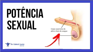 Disfunção Erétil | Como Potencializar a Sua Virilidade