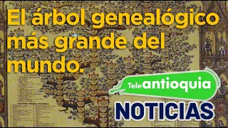 🌳El árbol genealógico más grande del mundo 🌎 Teleantioquia Noticias👩‍💻