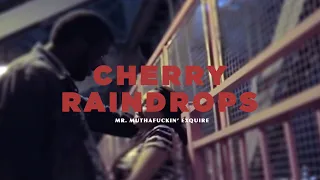 Mr. Muthafuckin eXquire - "Cherry Raindrops" [Official Video]