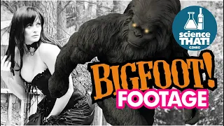 BIGFOOT  Hunting footage of the Bigfoot!