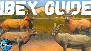 The Ultimate Ibex Zone Guide For Cuatro Colinas! TheHunter Call Of The Wild 2023