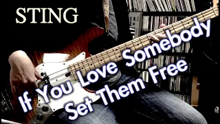 Sting - If You Love Somebody Set Them Free (Live) / Bass Cover