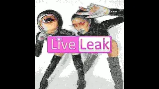 DJ LIVELEAK - UNTOUCHED - (the veronicas donk remix)