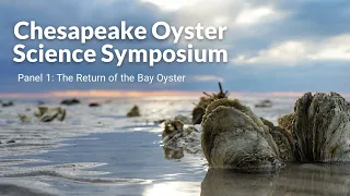 COSS  Panel 1: The Return of the Bay Oyster