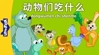 What Do Animals Eat? (动物们吃什么？) | Single Story | Animals | Chinese | By Little Fox