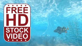 Free Stock Videos - underwater scene with fish and rocks 3D animation