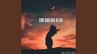 Zhi Shi Tai Ai Ni (Remix)
