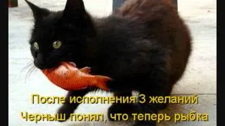 ЛЮБИМОЕ ИЗ КОТОМАТРИЦЫ