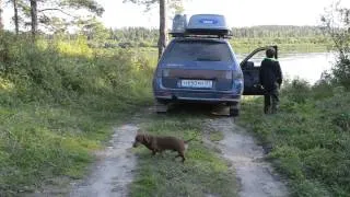 Архангельская область Дорога на Мезень вдоль  Пинеги