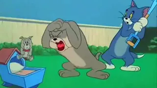 Tom and Jerry Painful Compilation (Extended)