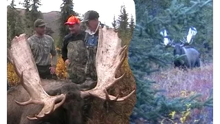 Alaska Yukon moose 68 inchs, 76 year old Bruce takes this big old bull moose