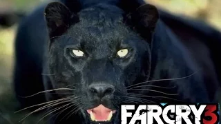 Black Panther - PATH OF THE HUNTER  Far Cry 3 - Bow Hunt