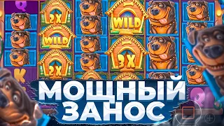 СОБАКИ СНОВА ВЫДАЮТ?? СЛОВИЛ МНОГО ЗАНОСОВ В THE DOG HOUSE MEGAWAYS!!!//ЗАНОС НЕДЕЛИ!!