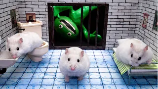 Hamster Escape From Monster Prison Maze In Real Life With Jumbo Josh