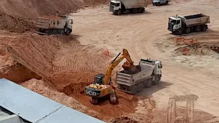 Arena Mrv Sabadão à todo vapor! 28/11/2020