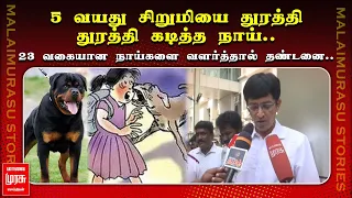 5 வயது சிறுமியை துரத்திதுரத்தி கடித்த நாய்.. |23 வகையான நாய்களை வளர்த்தால் தண்டனை.. | CHENNAI DOG