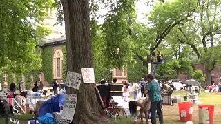 Princeton University protestors end hunger strike