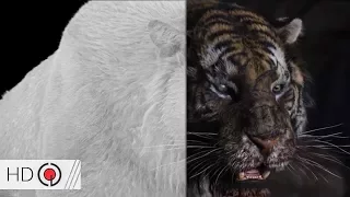 The Tiger Movie VFX Breakdown by 4th Creative Party