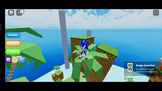 How to get Hacker sonic in Find the sonic Morphs | Roblox