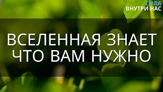 Вселенная знает, что вам нужно