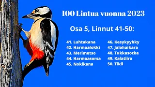 100 Lintulajia 2023, Osa 5, Linnut (41-50)