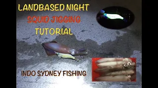 Landbased how to catch squid at night Botany Bay