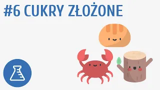 Cukry złożone #6 [ Biologiczne związki organiczne ]