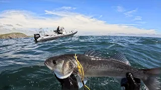 Boat Spearfishing a Mile Offshore in Cornwall (Catch and Cook)