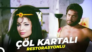 Çöl Kartalı | Tek Parça | Restorasyonlu