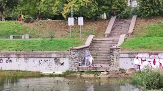 У нас на районе🏙️🦆🍁