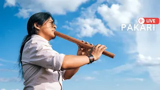 Pakari - Music of positive vibrations/Andean flute