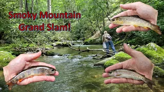 Smoky Mountain Trout SLAM Tenkara Fly Fishing