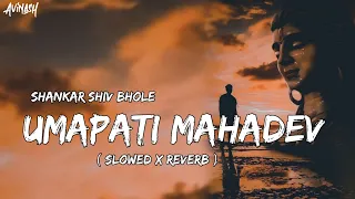 Shankar Shiv Bhole Umapati Mahadev ( Slowed x Reverb ) Remix | Lofi Mix