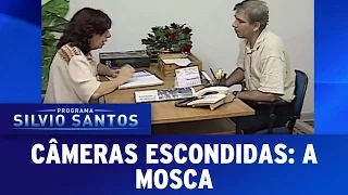 A Mosca | Câmeras Escondidas (08/01/17)