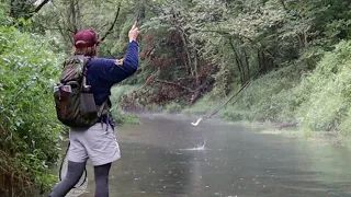 IOWA DRIFTLESS REGION: CATCHING A PIECE OF TROUT HISTORY! (Fly Fishing French Creek, Allamakee, IA)