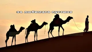 Камилска история lyrics