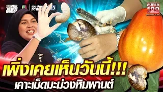 เพิ่งเคยเห็นวันนี้!!! บุ๋ม เคาะเม็ดมะม่วงหิมพานต์ | SUPER100