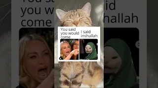 muslim memes || halal jokes
