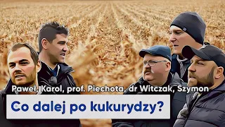 🌽 Plony kukurydzy zaskoczyły?! Uprawa, nawożenie, obsada na słabe gleby | e-pole do popisu #127