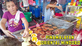 Exploring PINAMALAYAN Town: Unraveling the Beautiful Town in the Middle of Oriental Mindoro |