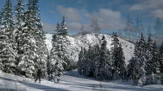 Skiing @ Sasquatch Mountain on Feb 24, 2019