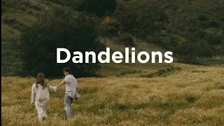 Dandelions - [sped up] Tiktok version