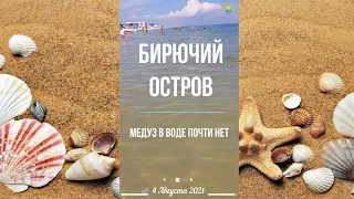 БИРЮЧИЙ ОСТРОВ: Море прозрачное. Почти нет медуз! 4 Августа 2021 #Shorts