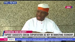 Expert Suggests Cocoa Exportation as Key in Boosting Economy