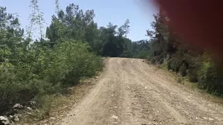 Antalya Tekirova maden koyu orman yolu