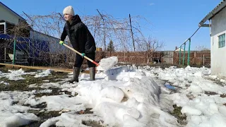 ПЕРЕЕХАЛИ В РОССИЮ.ПРИГЛАСИЛИ В ТАМБОВ!ПРИШЛА ВЕСНА В ДЕРЕВНЮ!ОН ВЕРНУЛСЯ К НАМ!ЛЕЧИМ ПЕРСИКА