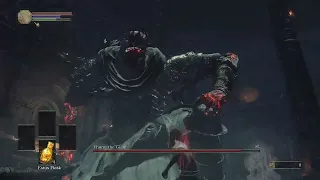 Yhorm the Giant - SL1, fist only, damageless